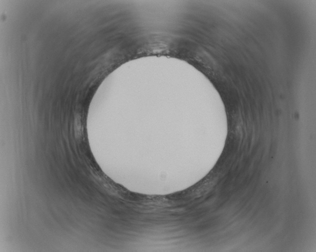 X0000066971442200604211854