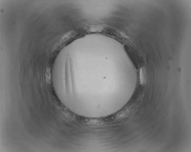 X0000066971443200604211854