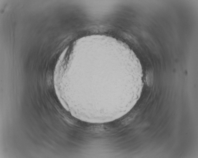 X0000066971444200604211854