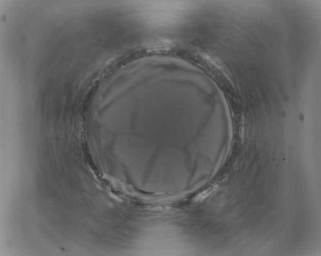 X0000066971445200604211854