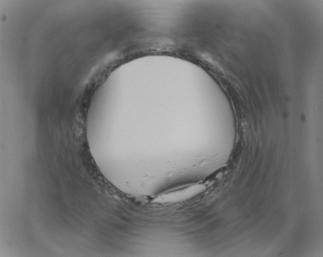 X0000066971447200604211854