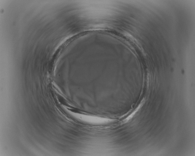 X0000066971449200604211854