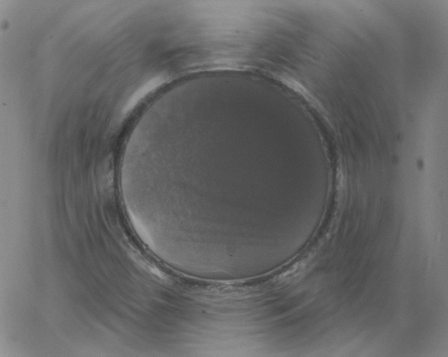 X0000066971450200604211854