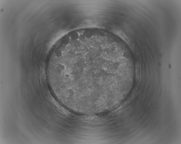 X0000066971452200604211854