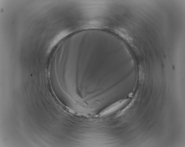 X0000066971453200604211854