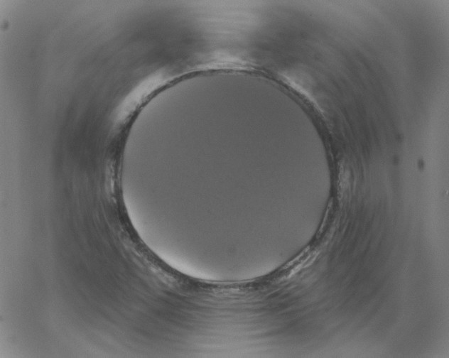 X0000066971455200604211854