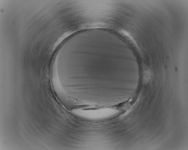 X0000066971457200604211854