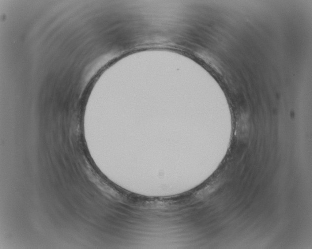 X0000066971458200604211854