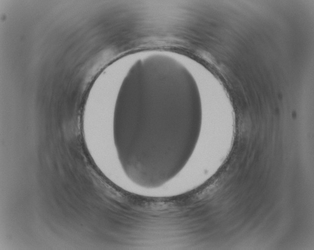 X0000066971459200604211854