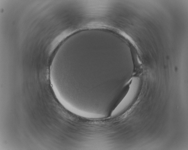 X0000066971461200604211854