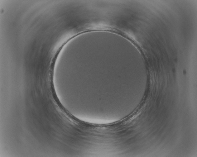 X0000066971463200604211854