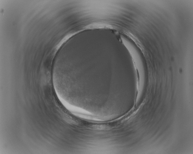 X0000066971465200604211854