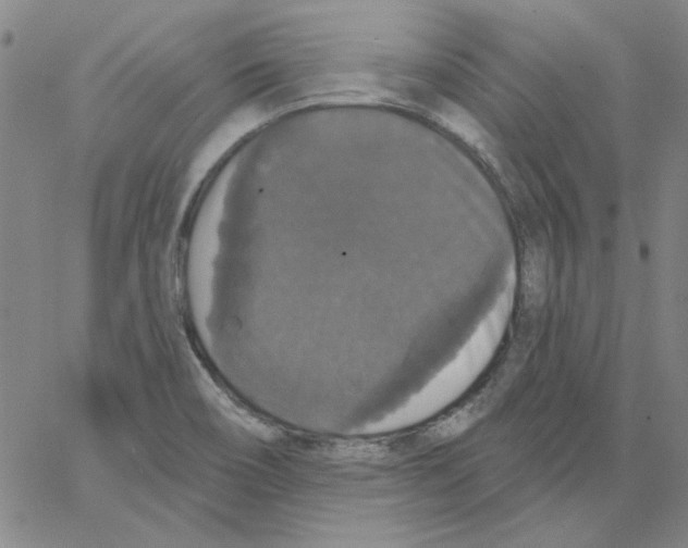 X0000066971466200604211854