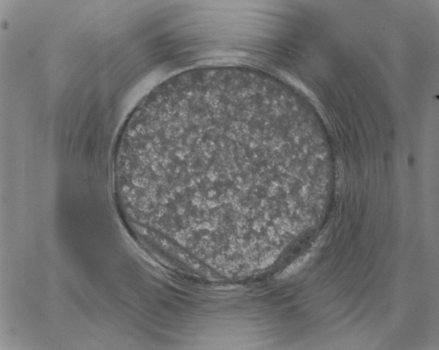 X0000066971467200604211854