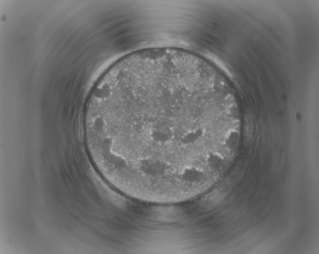 X0000066971468200604211854