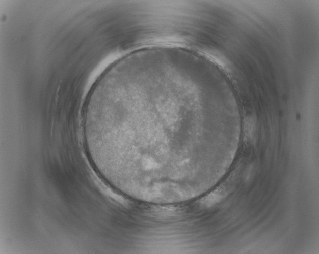 X0000066971470200604211854