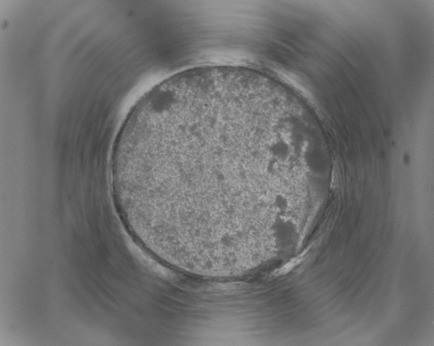 X0000066971471200604211854