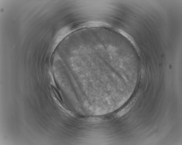 X0000066971473200604211854