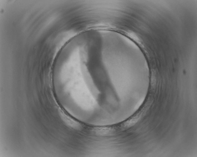 X0000066971474200604211854