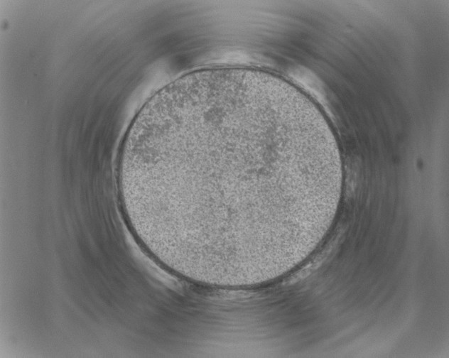 X0000066971475200604211854