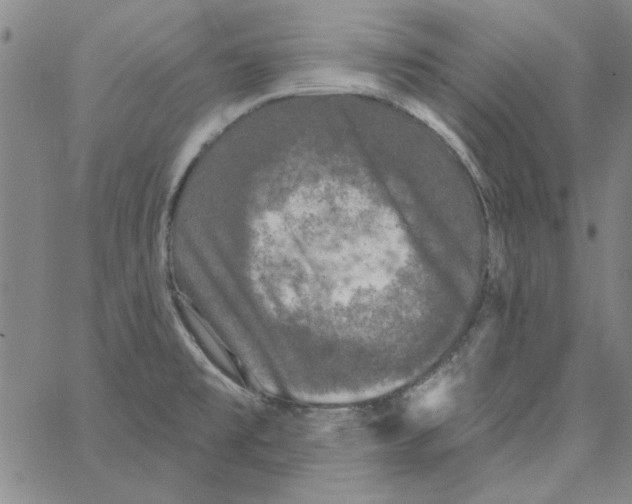 X0000066971477200604211854