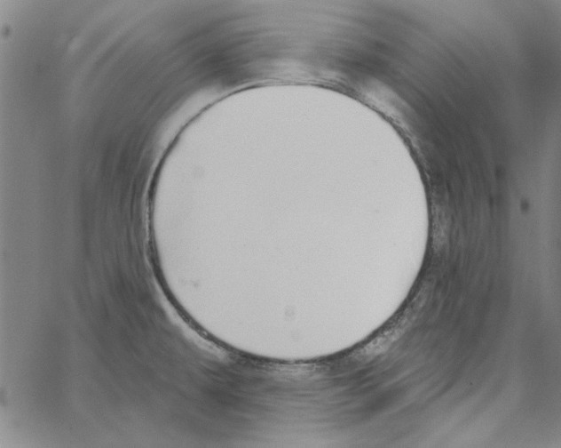 X0000066971479200604211854