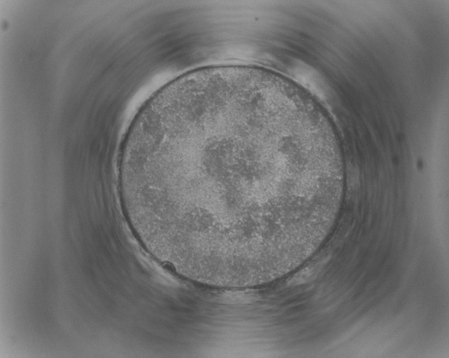 X0000066971480200604211854