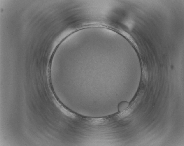 X0000066971482200604211854