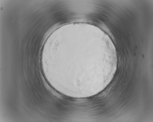 X0000066971483200604211854