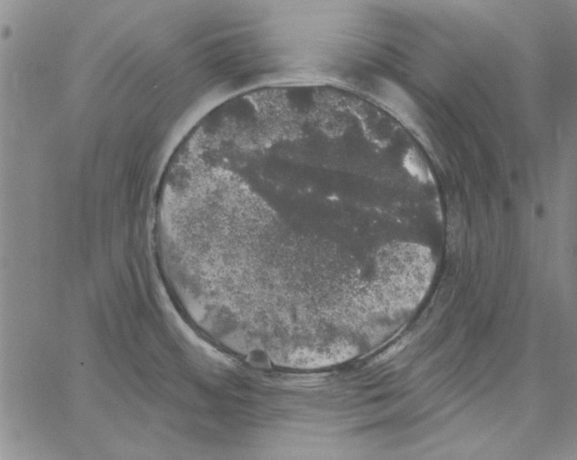 X0000066971484200604211854