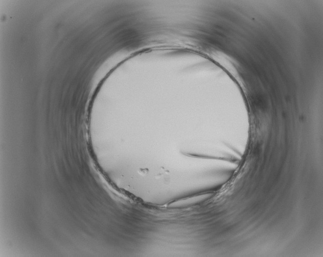 X0000066971485200604211854