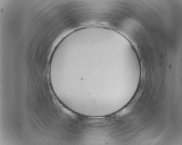 X0000066971486200604211854