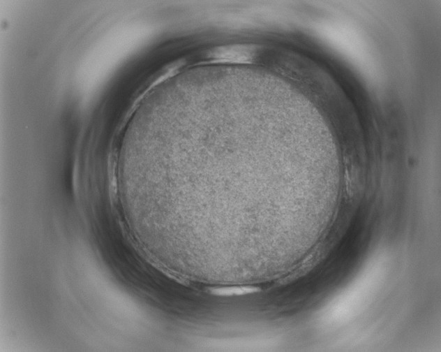 X0000066971487200604211854