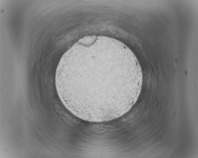 X0000066971489200604211853