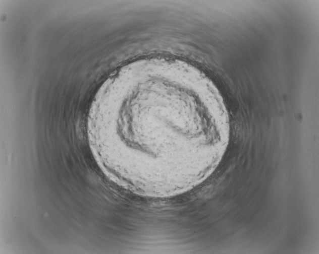 X0000066971490200604211853