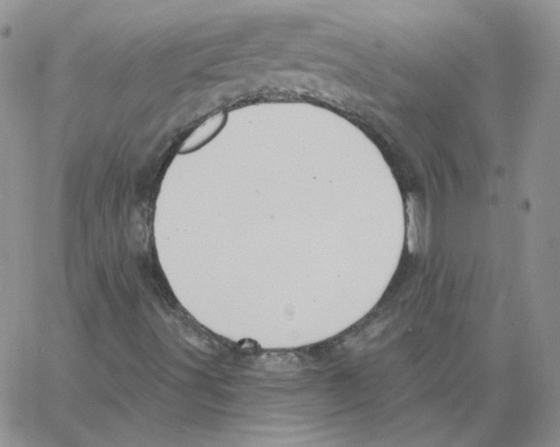 X0000066971491200604211853