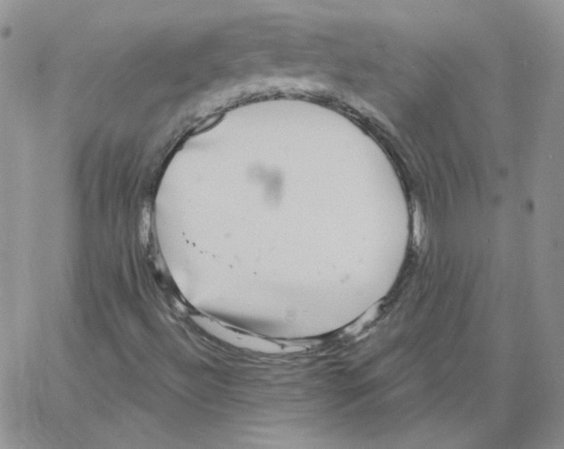 X0000066971492200604211853