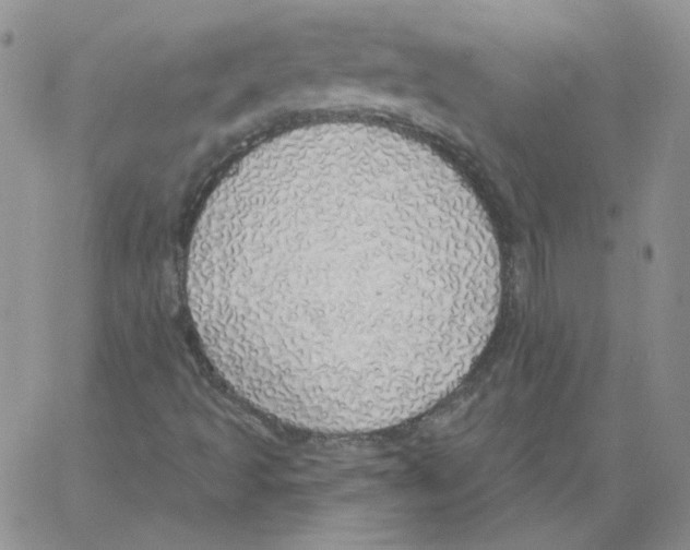 X0000066971493200604211853