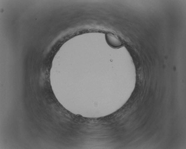 X0000066971495200604211853