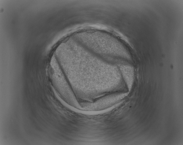 X0000066971496200604211853