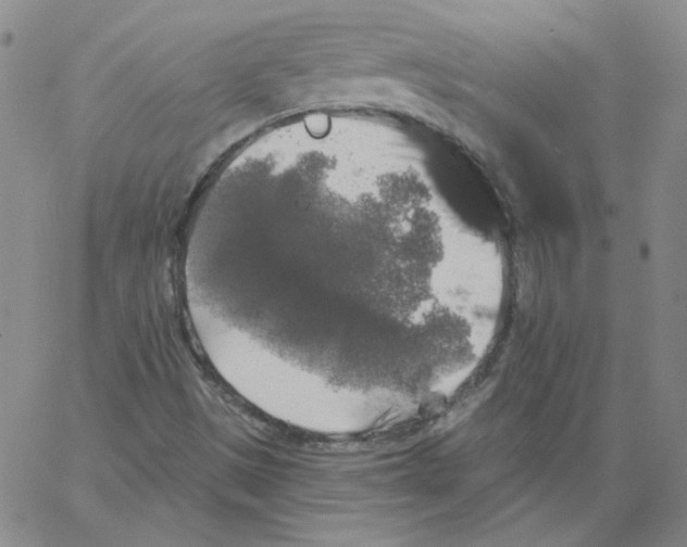 X0000066971497200604211853