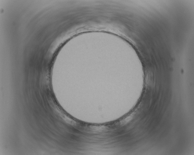 X0000066971498200604211853