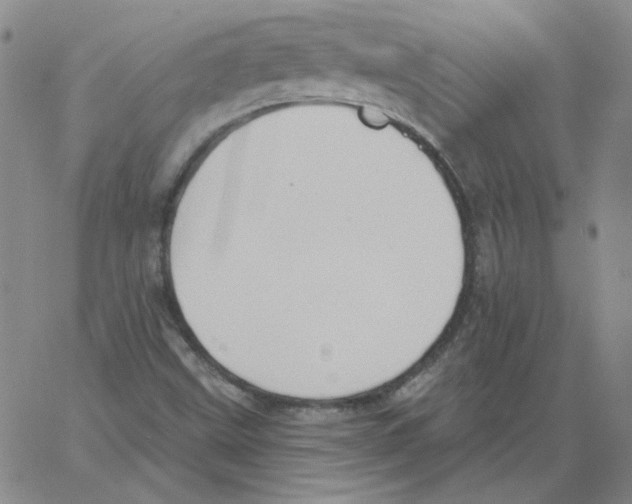 X0000066971499200604211853