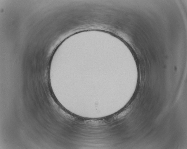 X0000066971500200604211853