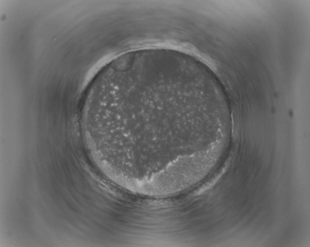 X0000066971501200604211853