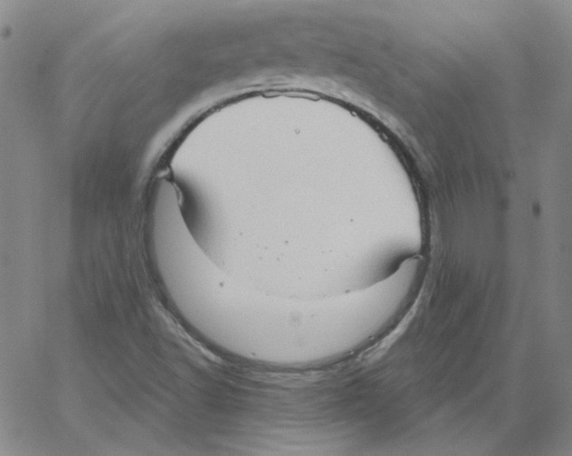 X0000066971502200604211853