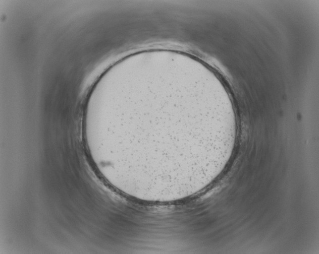 X0000066971504200604211853