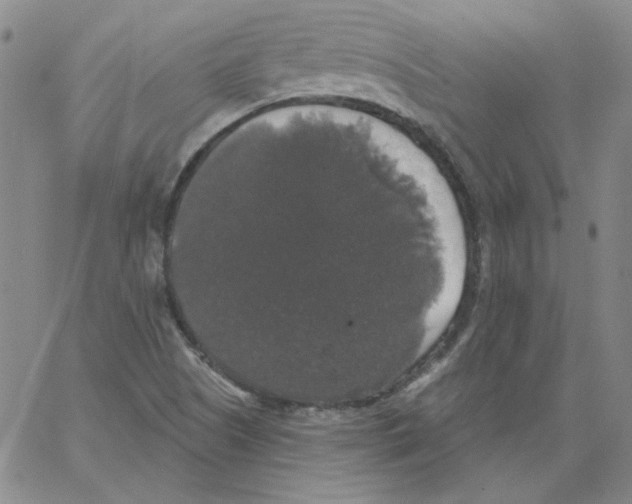 X0000066971505200604211853