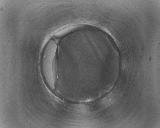 X0000066971508200604211853