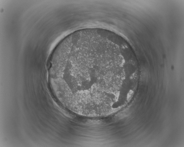 X0000066971509200604211853